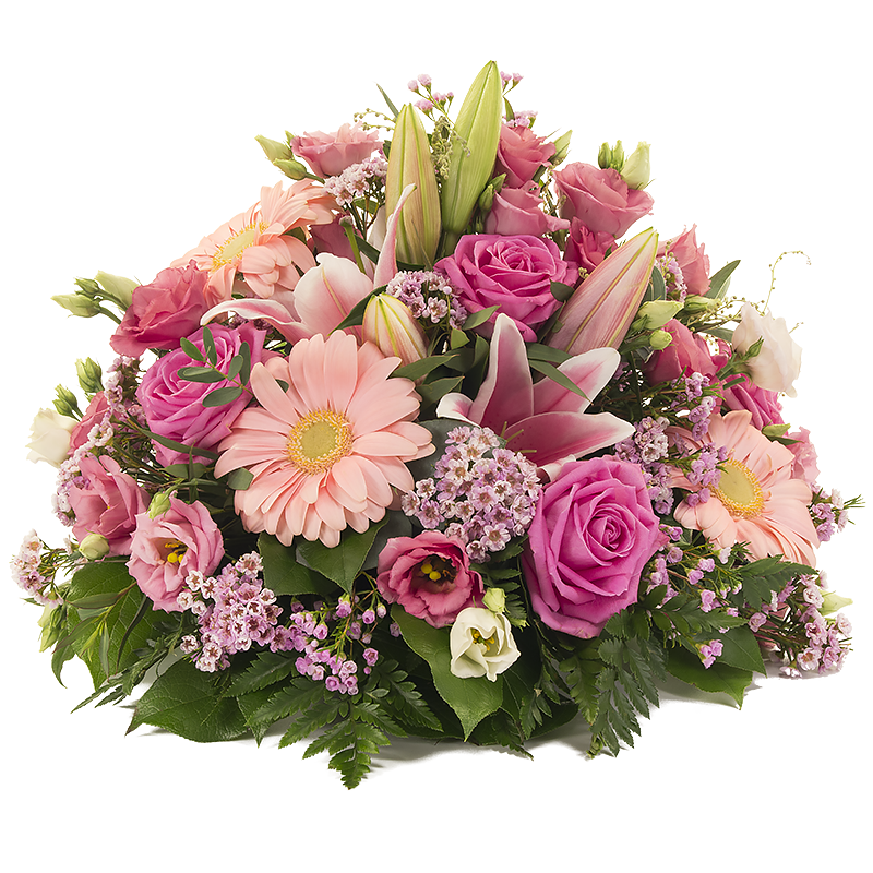 Pink Posy