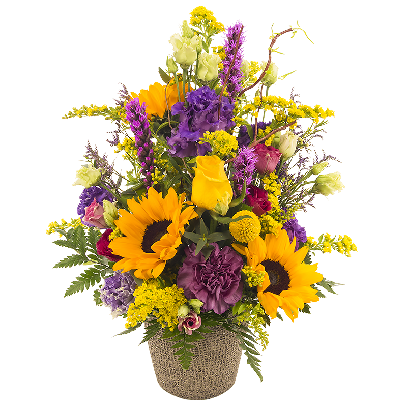 Sunny Arrangement