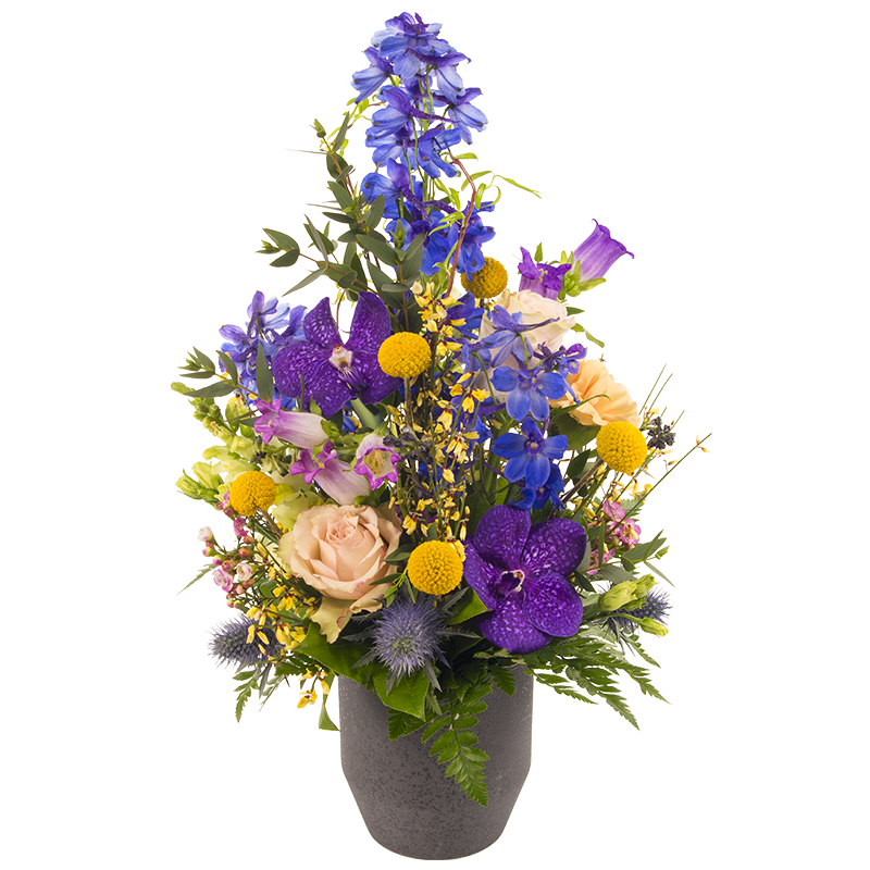 Purple and Yellow Arrangement